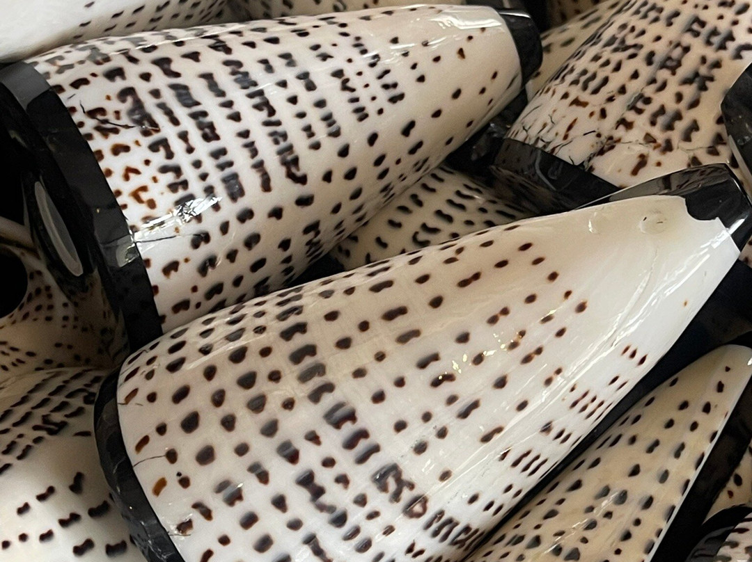 Kim Soo-水明漾必去景点