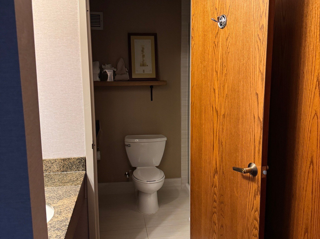 芝加哥北岸皇冠假日酒店主图