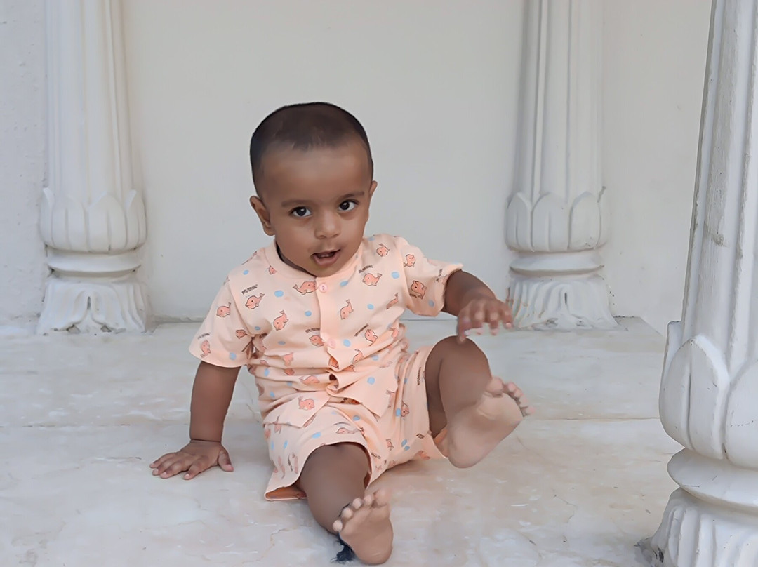 Pride Amber Vilas Resort主图