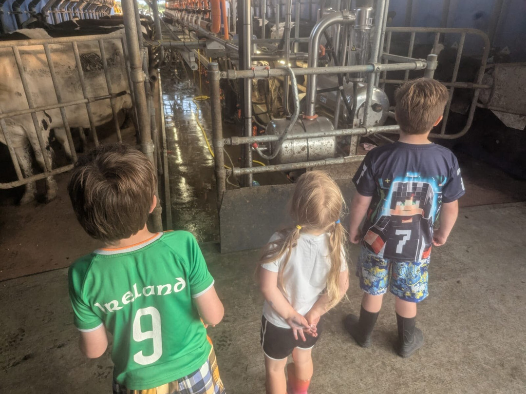 Bannow Bay Seaside Farm