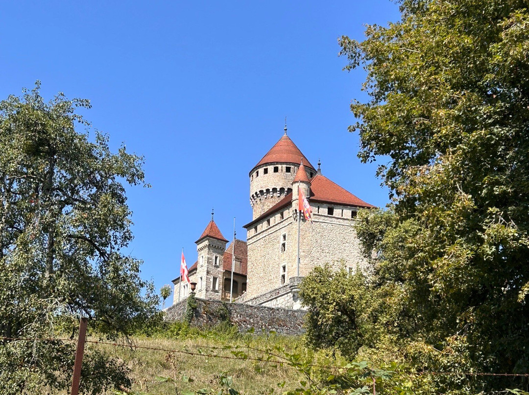 Chateau de Montrottier-Lovagny必去景点