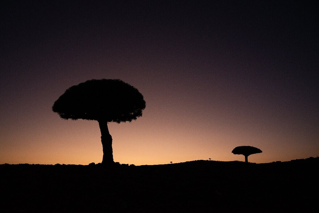Socotra Biosphere Tours-Hadiboh必去景点