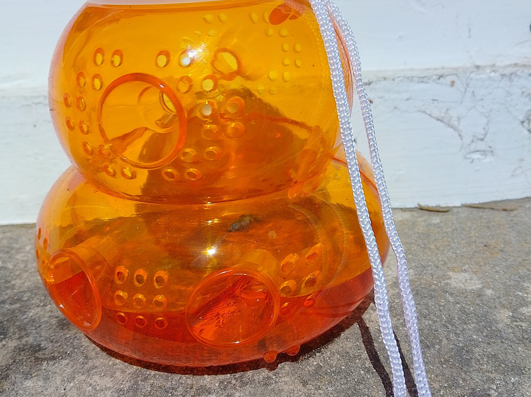 Emmetts Garden-Sevenoaks必去景点