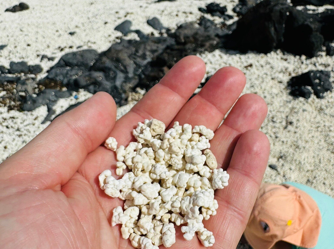 Popcorn Playa-科拉雷侯必去景点