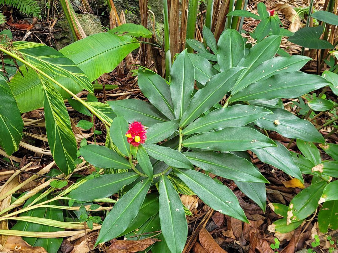 Bitasyon Bio-Saint-Philippe必去景点