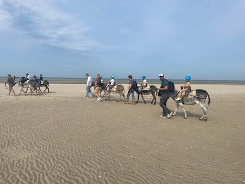 Escap'Anes-Boismont必去景点