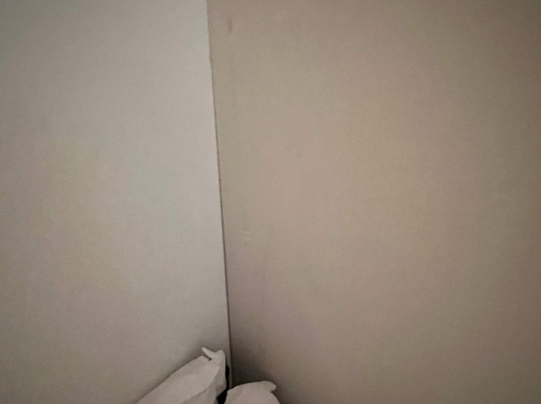 Ferretti Majestic House主图