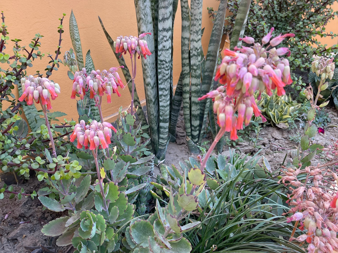 La Posada de Huarmey主图