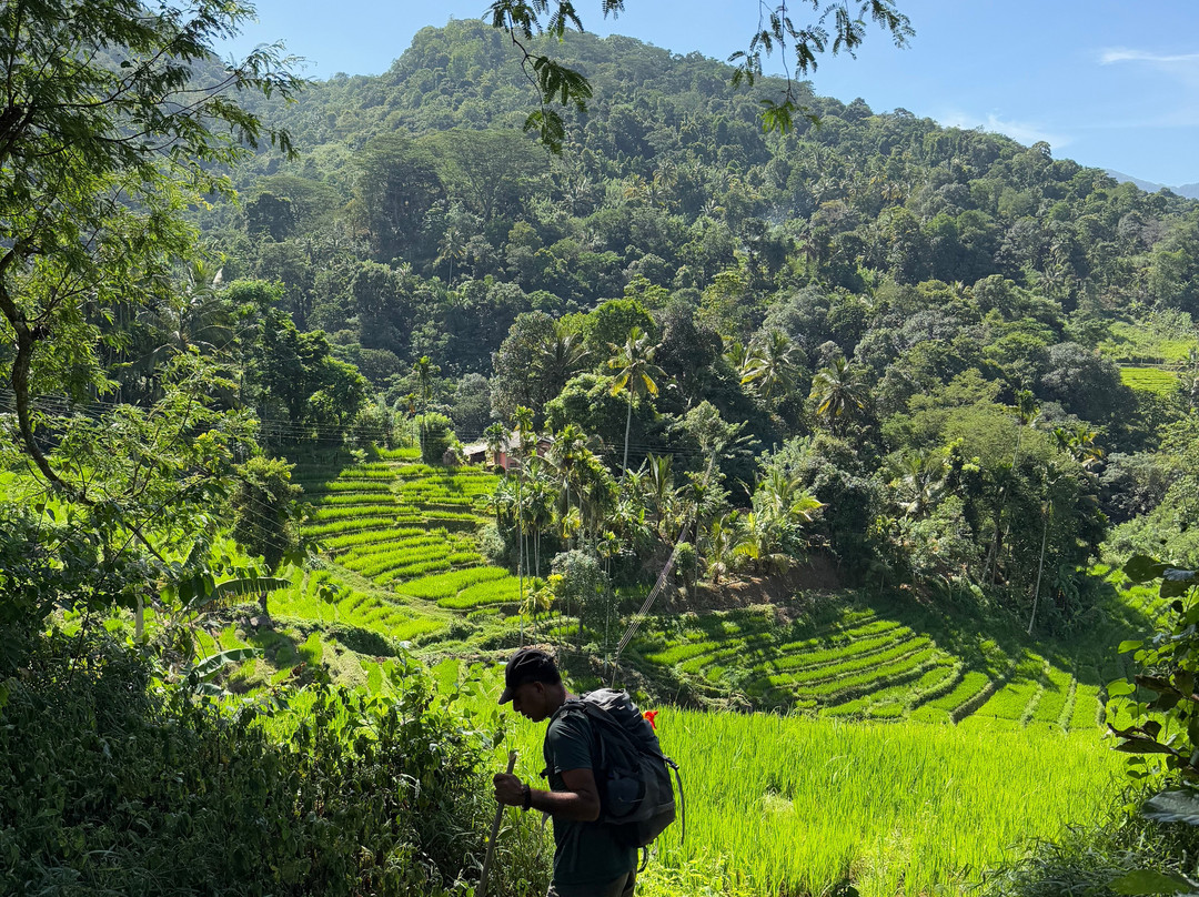 Kandy Trekking Tours-康提必去景点