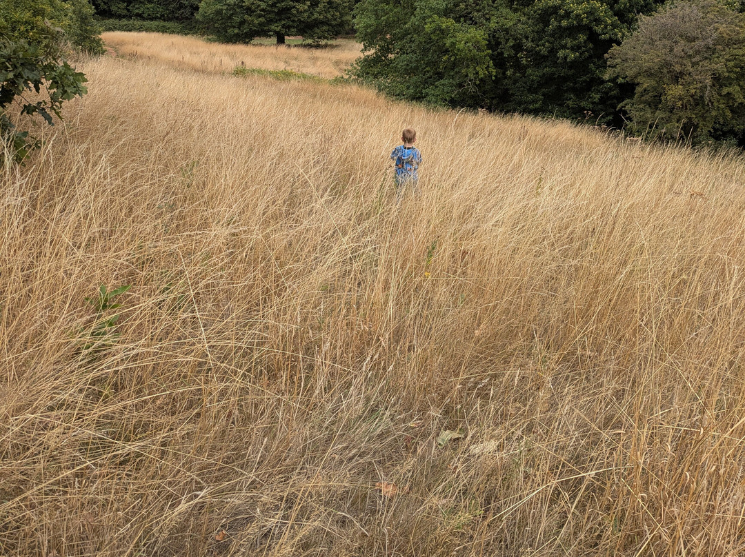 Ashton Court Estate-布里斯托尔必去景点