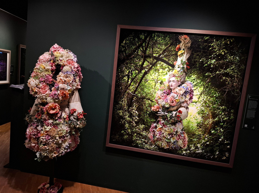 Falsterbo Photo Art Museum-Falsterbo必去景点