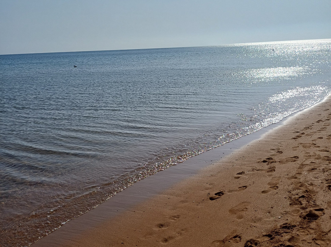 Futura Club Casarossa