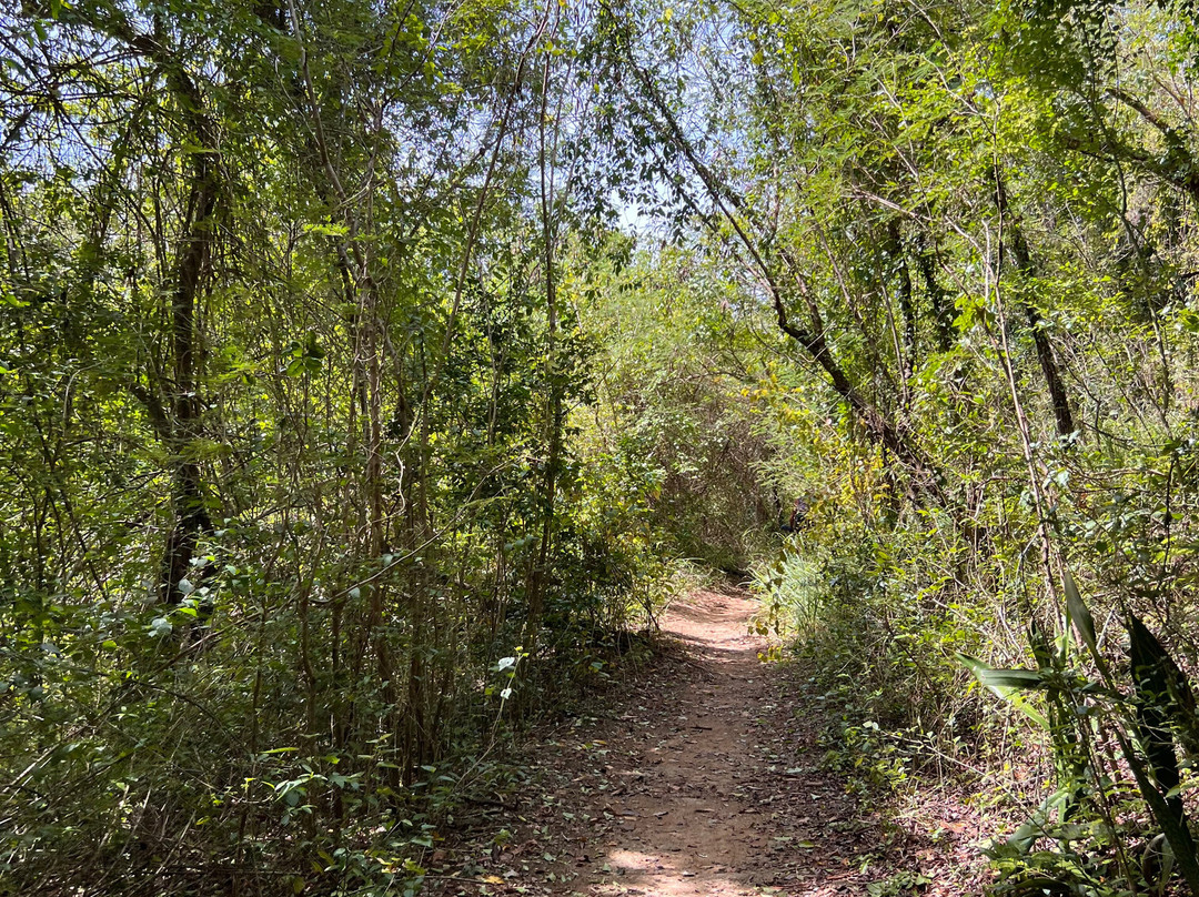 Playa Colorá-法哈多必去景点
