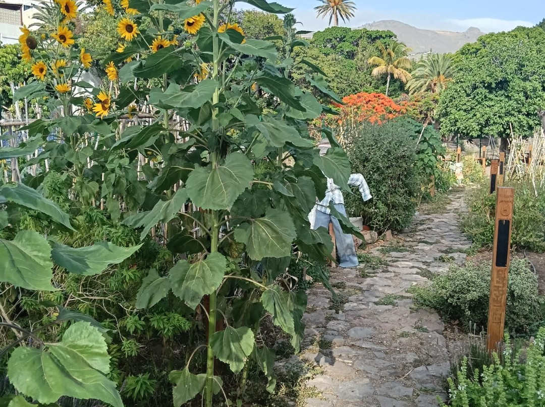 Finca los Castaños-Agaete必去景点