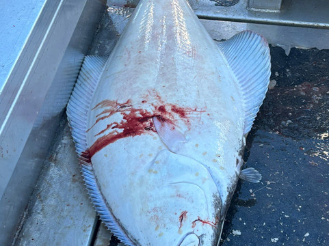 J-Dock Fishing Co.-苏厄德必去景点