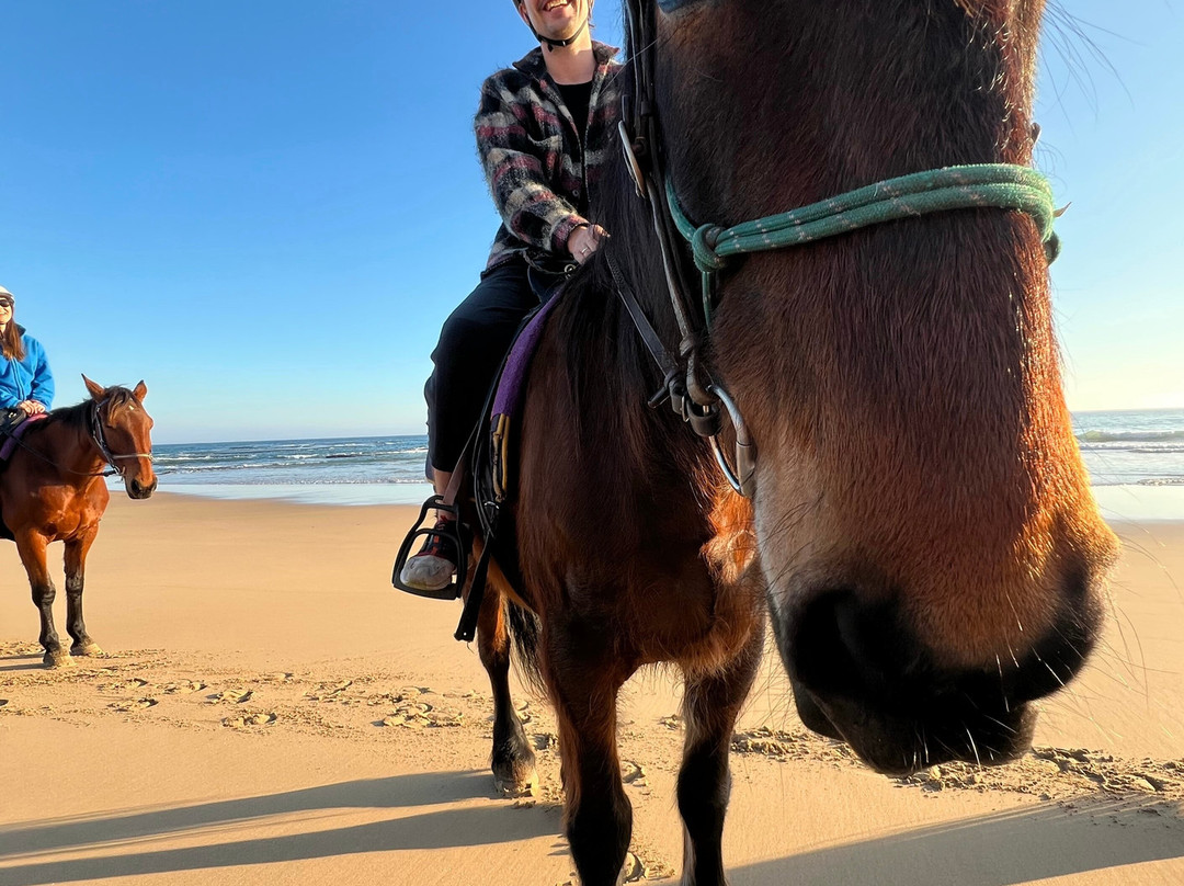 Gunnamatta Trail Rides-拉伊必去景点