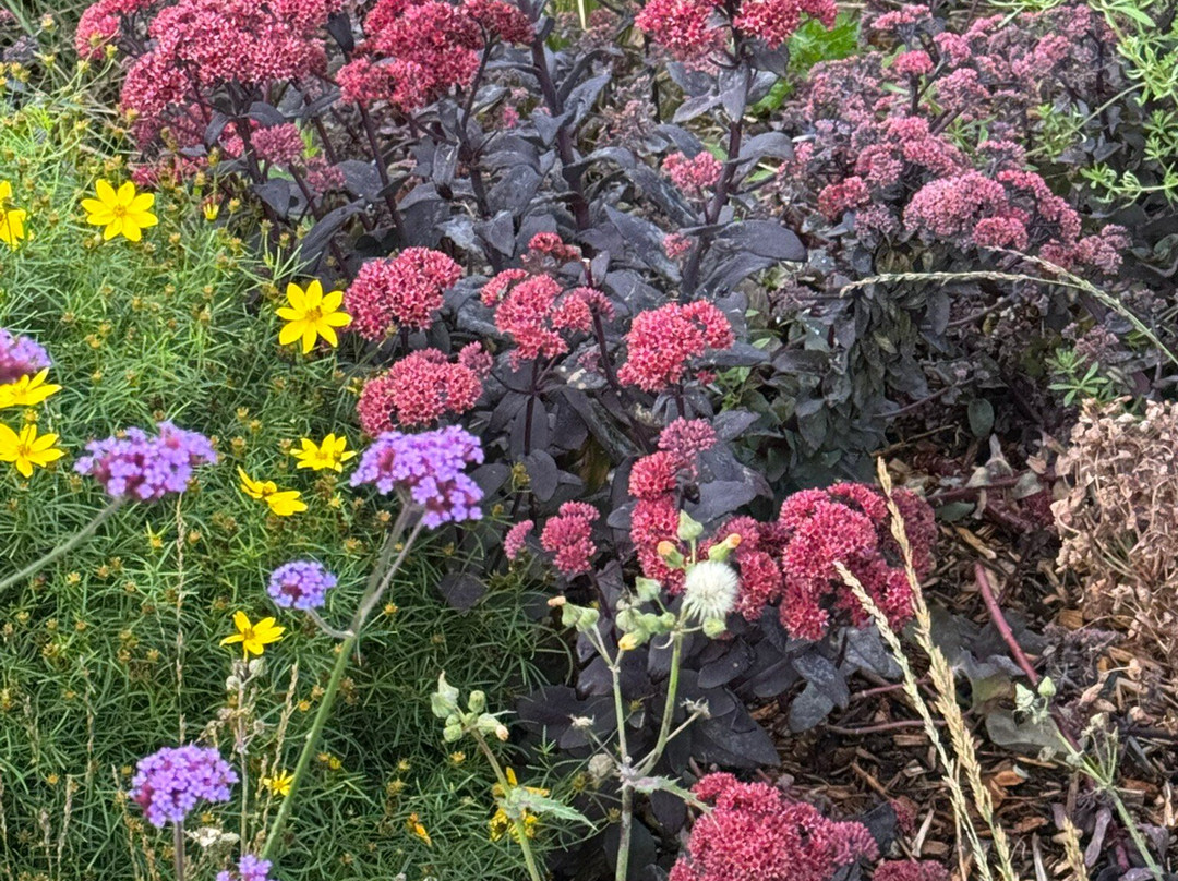 Killarney House Gardens-基拉尼必去景点