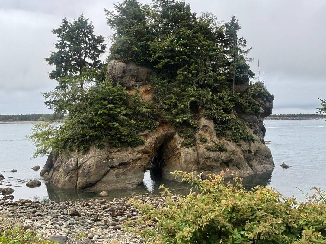 Oregon Coast Scenic Railroad-Garibaldi必去景点