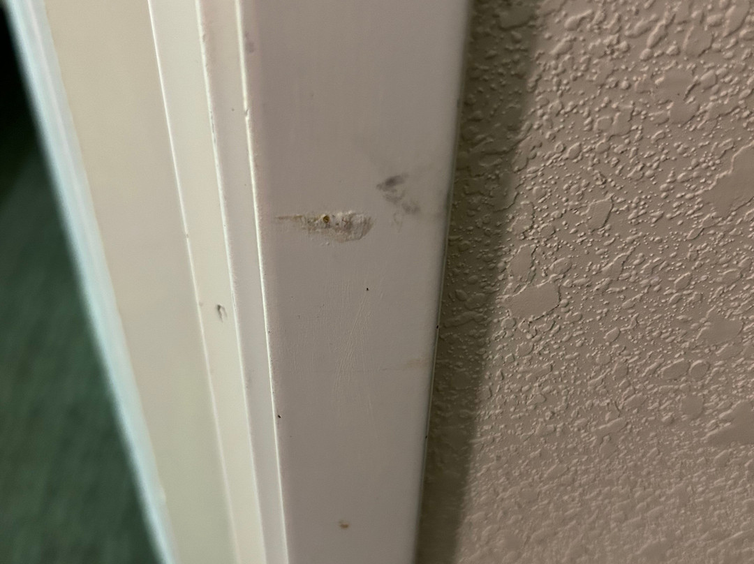 Baymont by Wyndham Wichita East主图