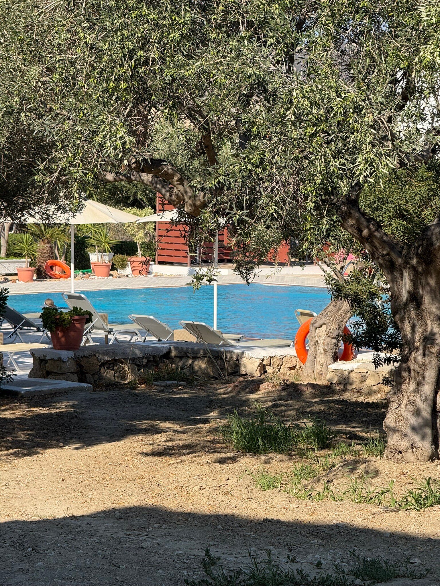 索菲亚酒店-官方