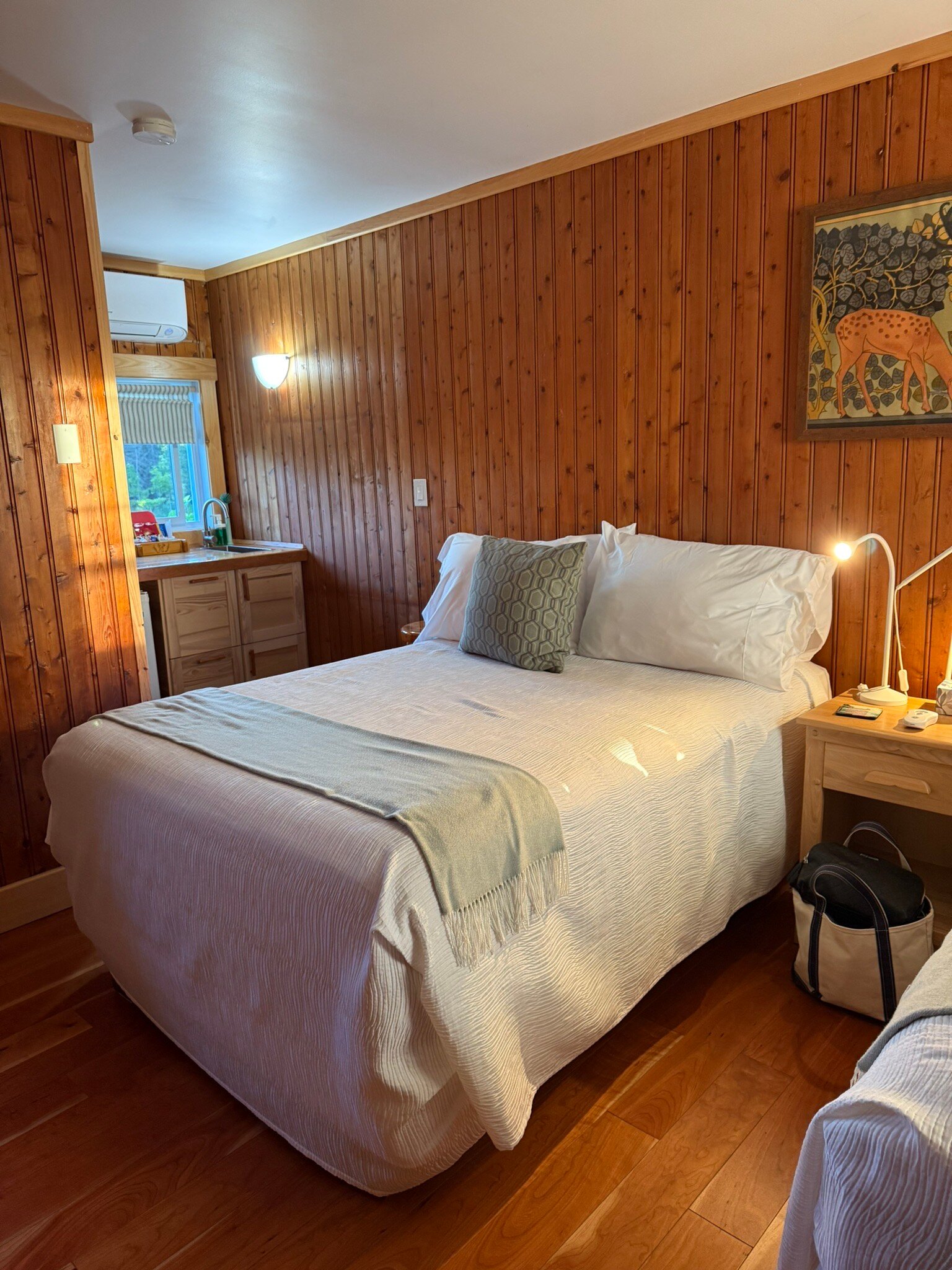 Buckhorn Motel-官方