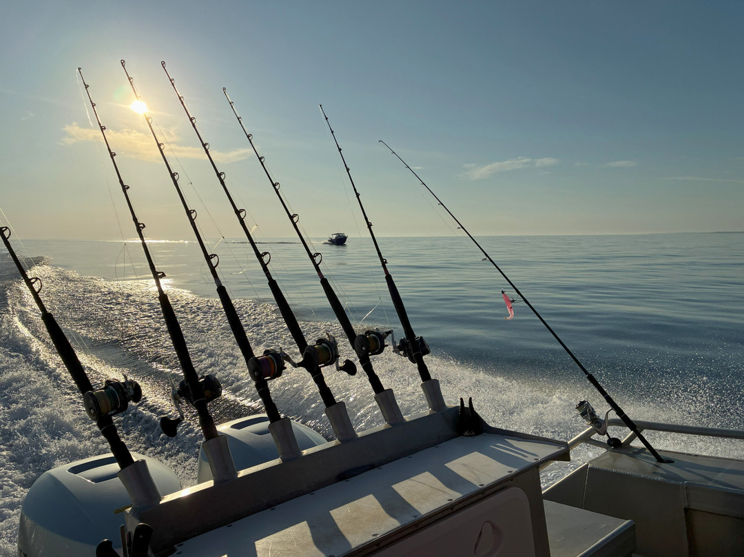 Dundee Beach Fishing Charters-Dundee Beach必去景点