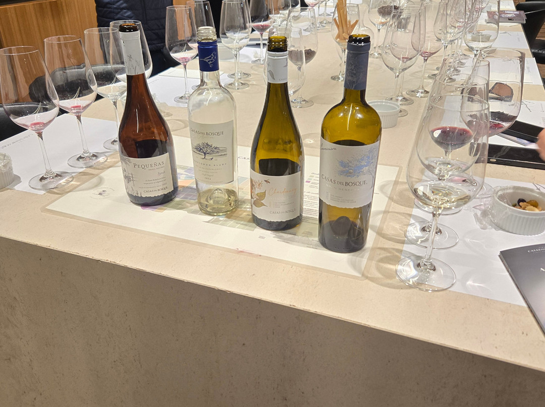 Viña Casas del Bosque-卡萨布兰卡必去景点