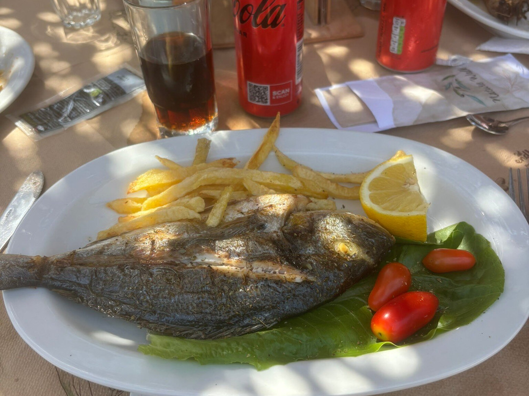 Dafni Beach-扎金索斯必去景点