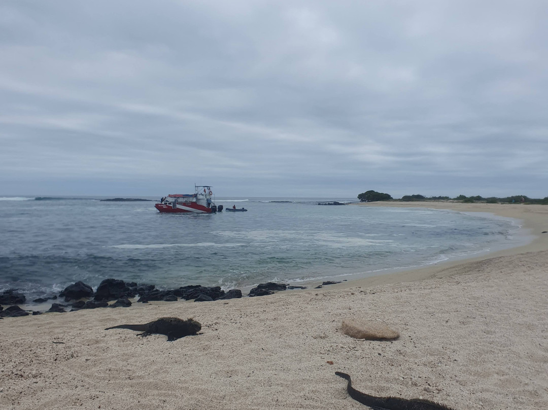 Playa El Manglecito-圣克里斯托瓦尔必去景点