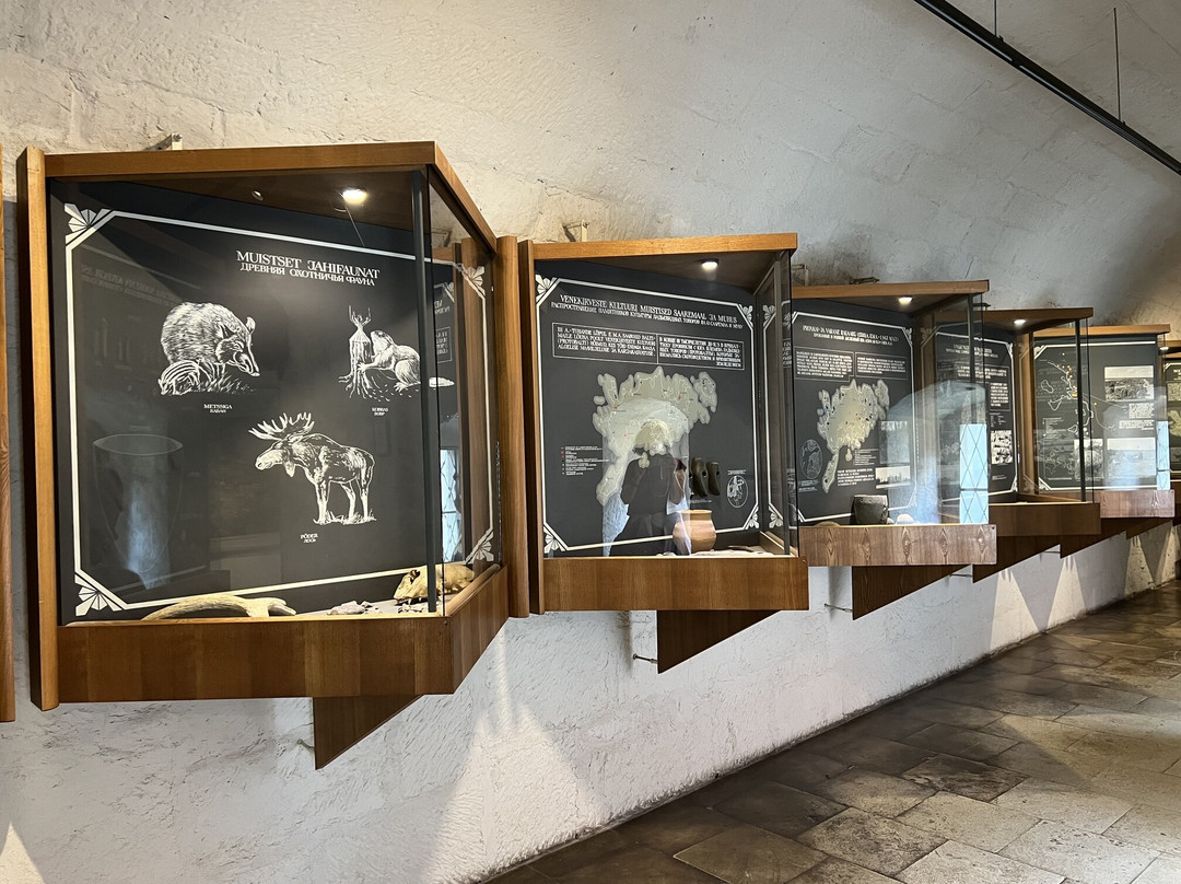 Saaremaa Museum-库雷萨雷必去景点