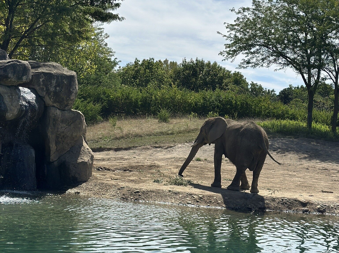Indianapolis Zoo-印第安纳波利斯必去景点