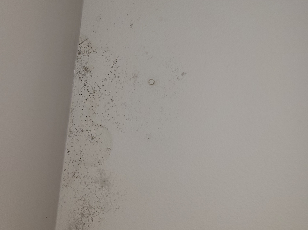 Courtyard by Marriott St. Augustine I-95主图