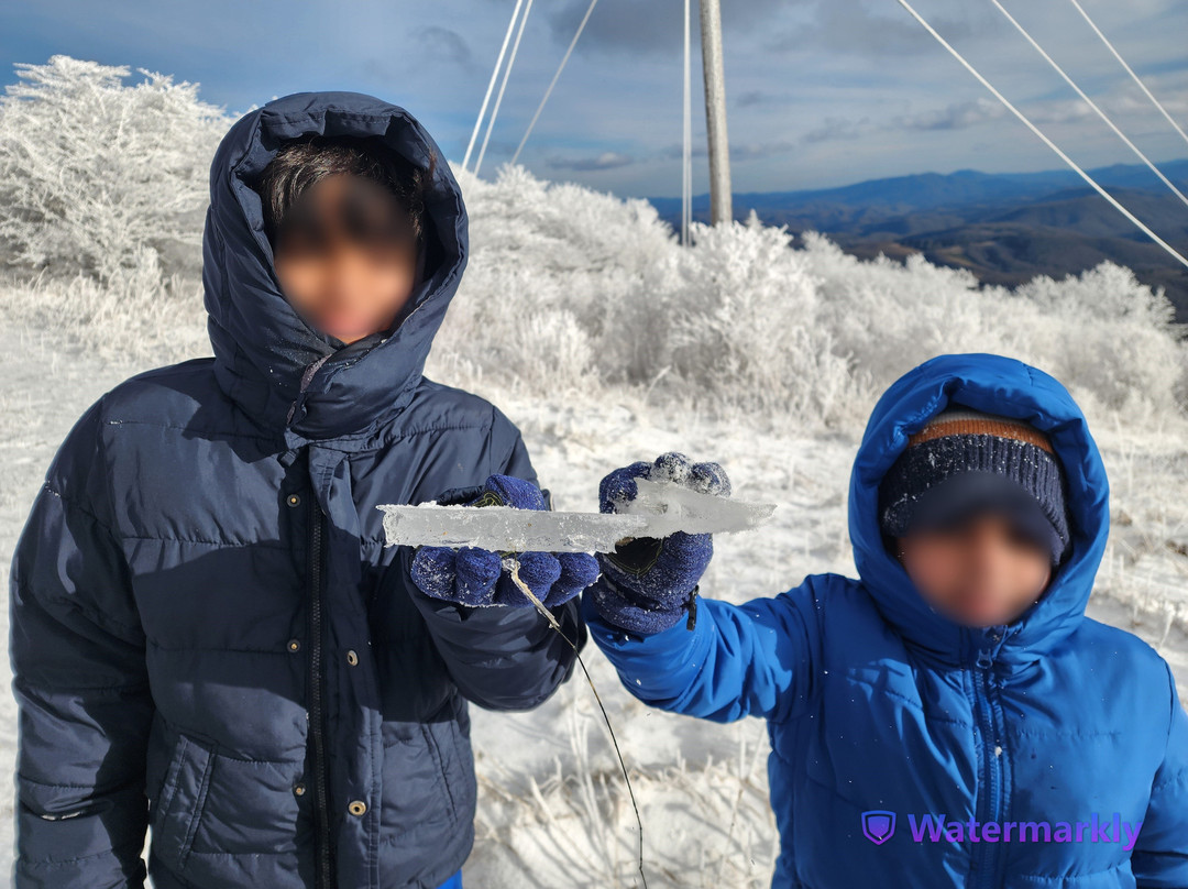 Whitetop Mountain-Mouth of Wilson必去景点