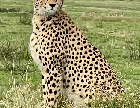 Econest Tim Tours & Safaris-坎帕拉必去景点