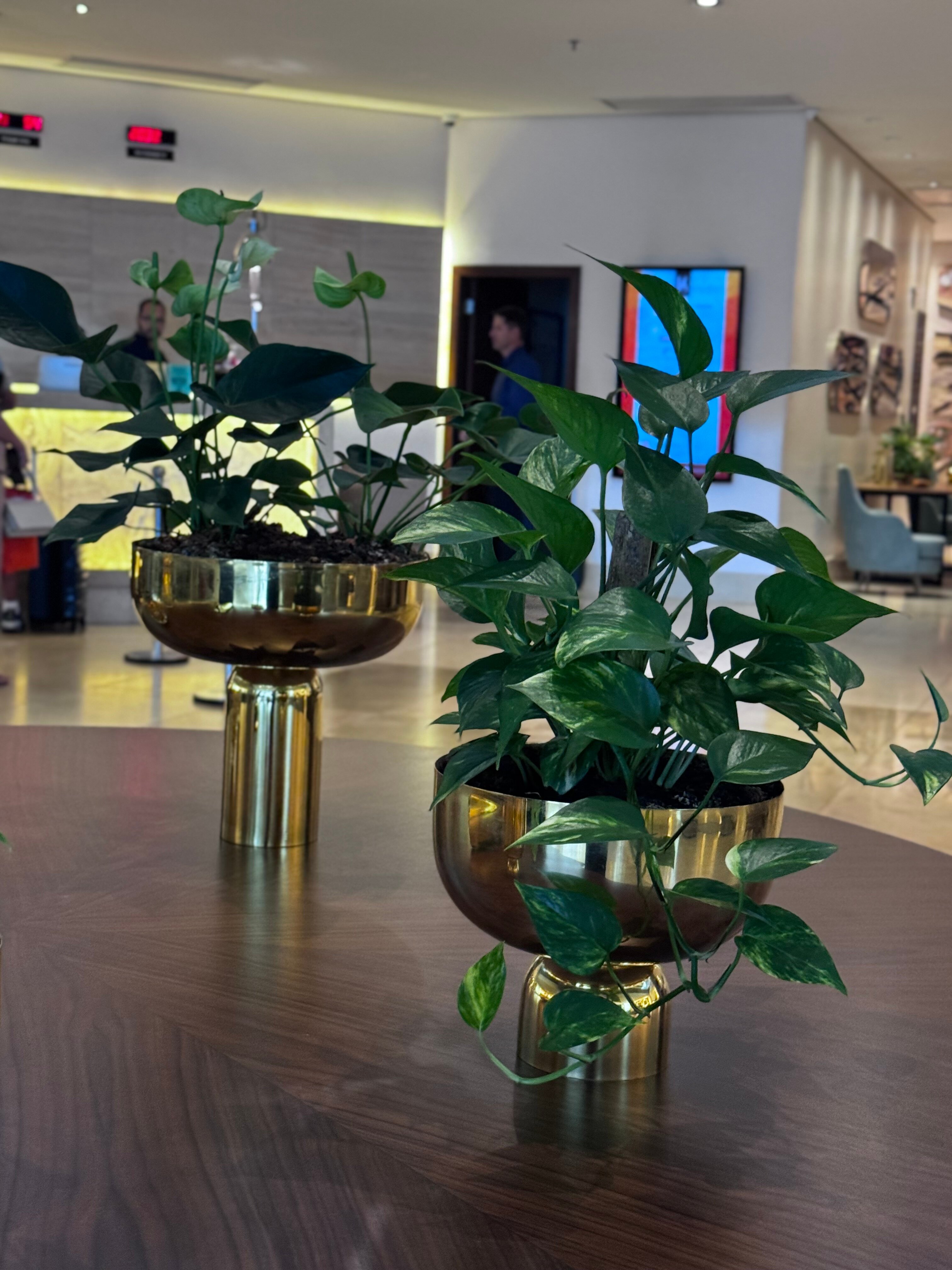 K Hotel-官方