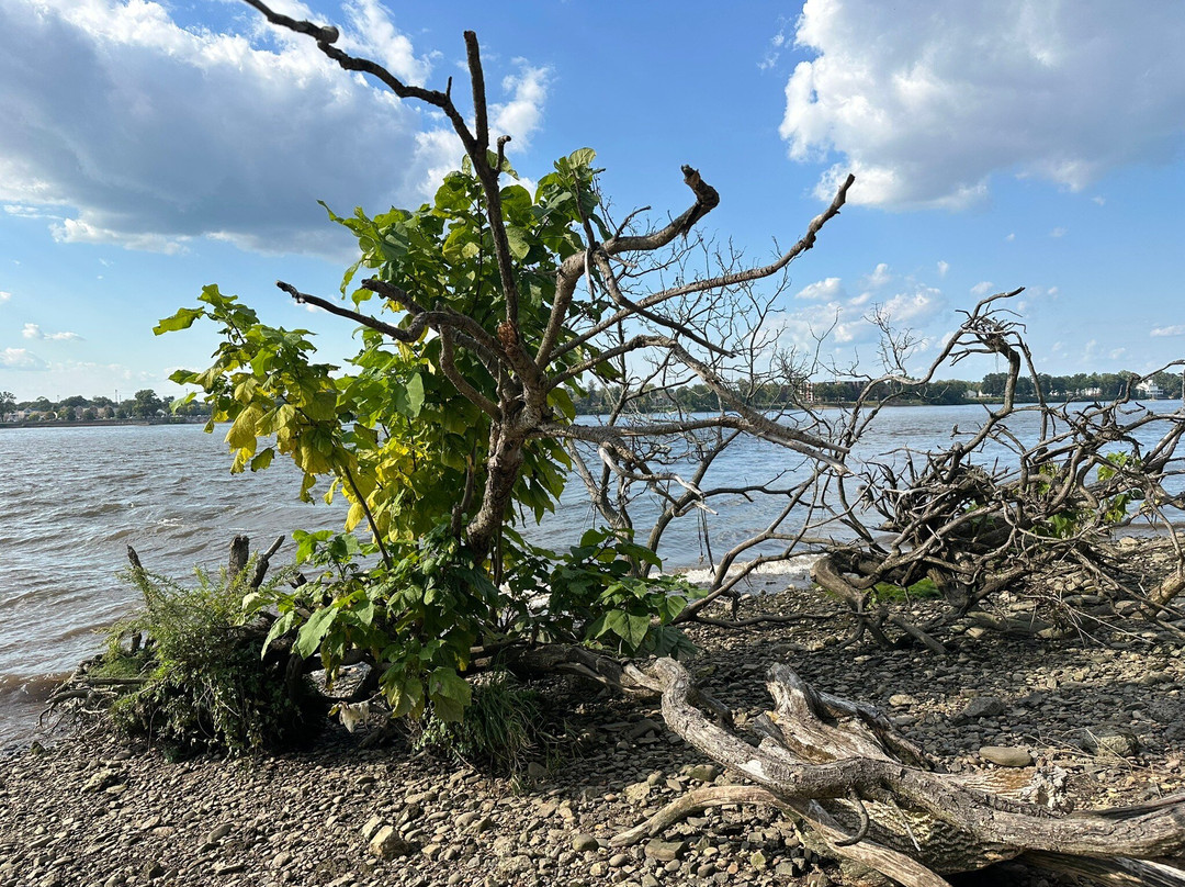 Amico Island Park-Delran必去景点