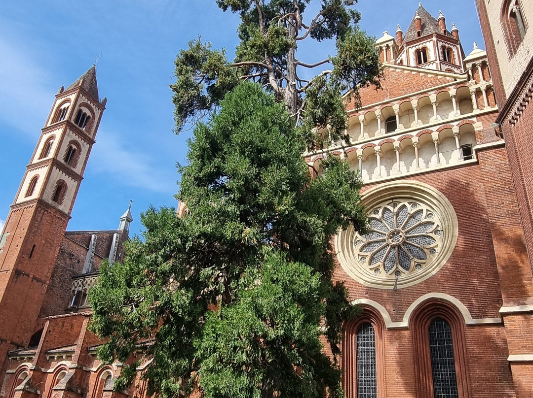 Basilica di Sant'Andrea-韦尔切利必去景点