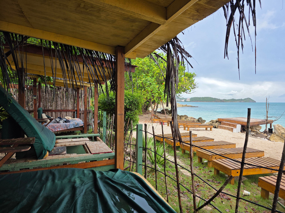 Tree House Beach Club
