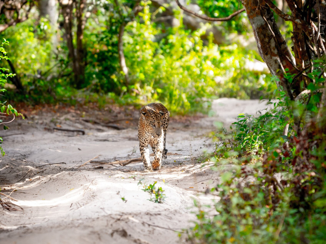 Kris Travels Lanka-康提必去景点