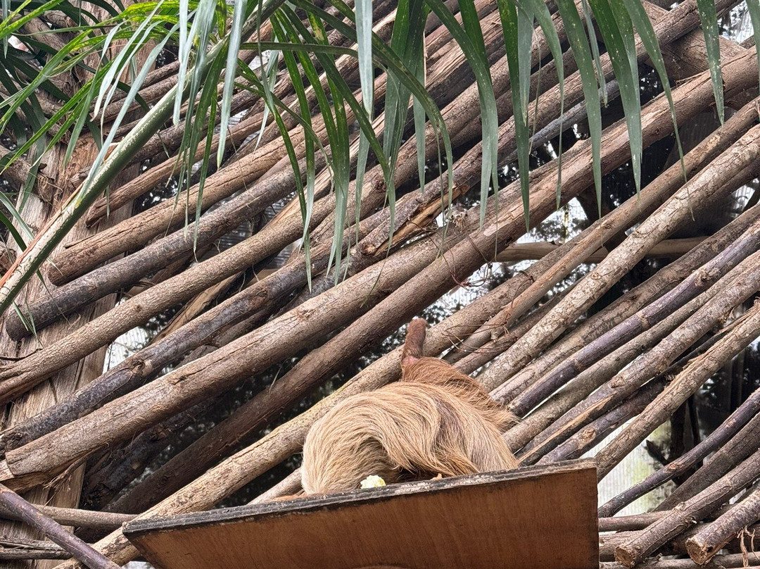 AMARU Bioparque Cuenca Zoologico-昆卡必去景点