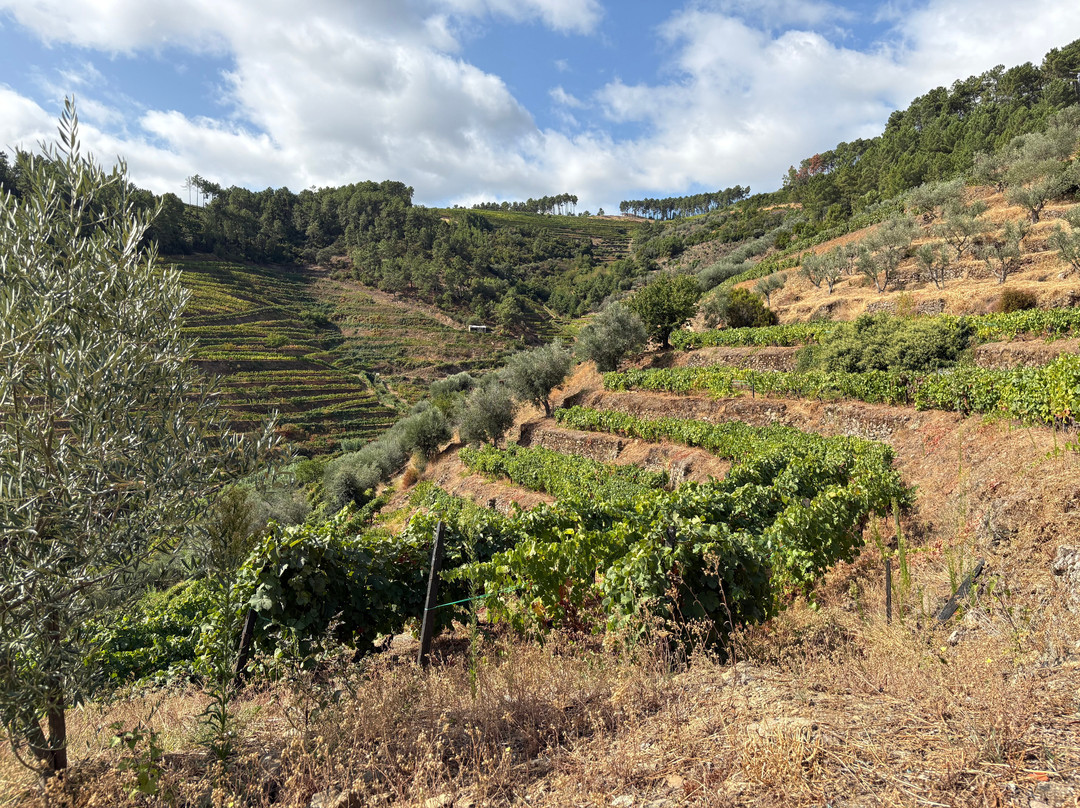 Lagar Da Sancha-Sabrosa必去景点
