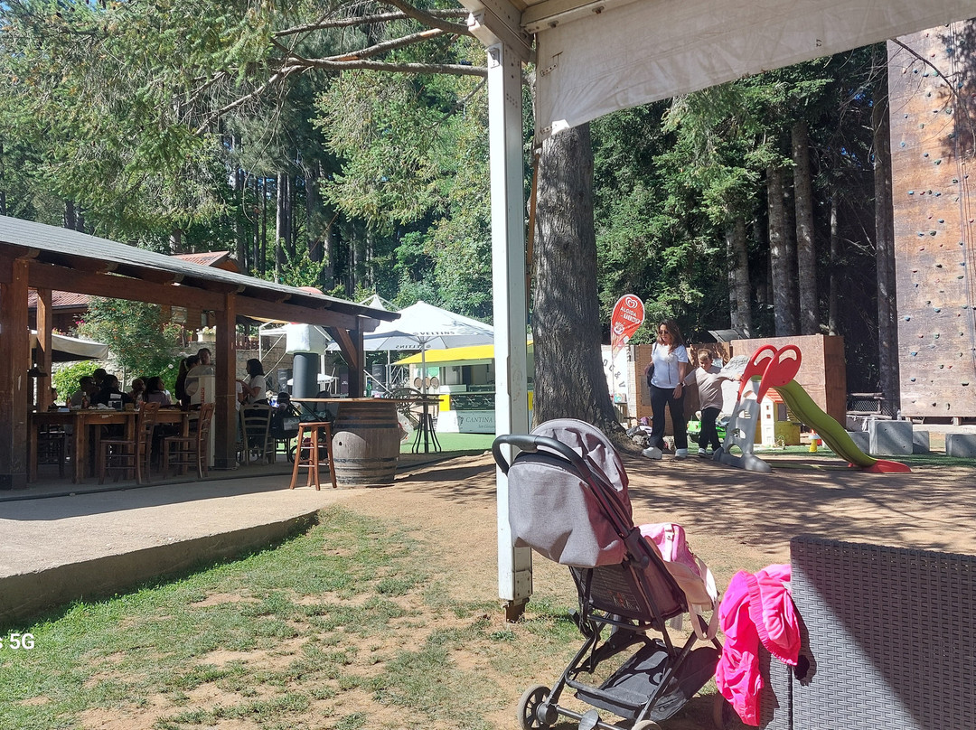 Parco Avventura Cuturelle-San Giovanni in Fiore必去景点