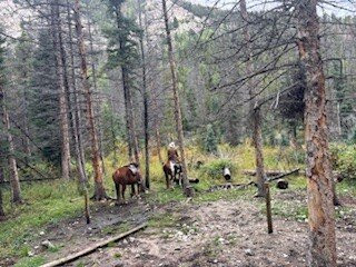 Mt Princeton Hot Springs Stables-Nathrop必去景点
