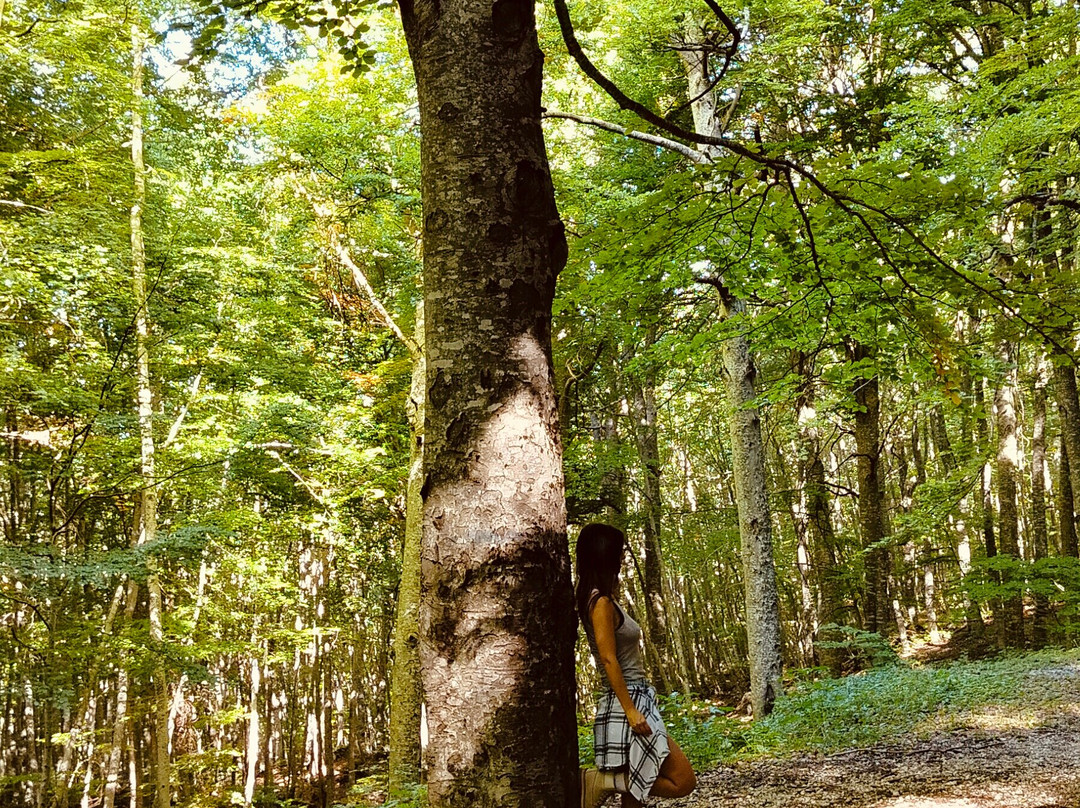 Riserva Naturale Lama Bianca-Roccacaramanico必去景点