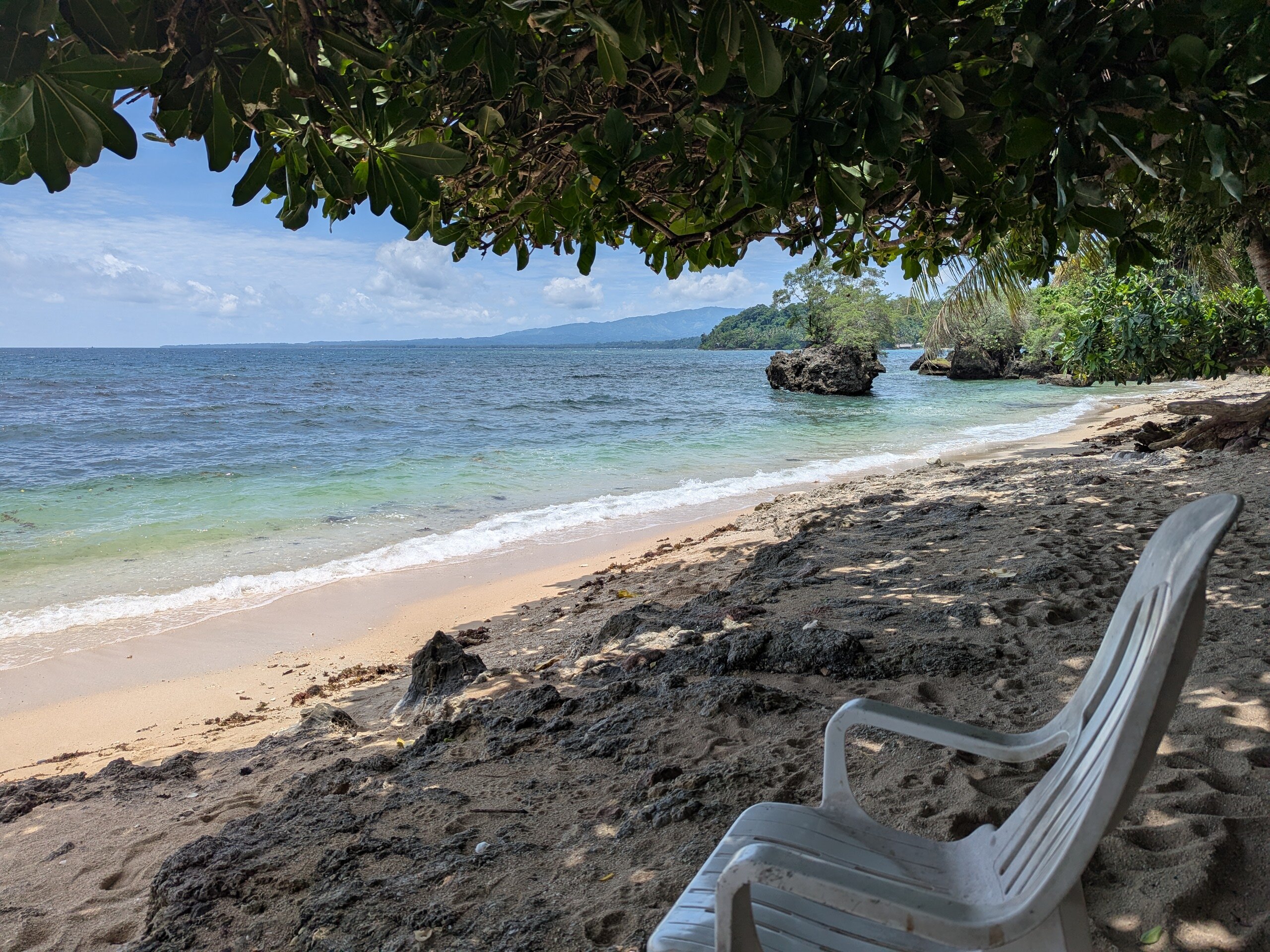 Kookoo's Nest-官方