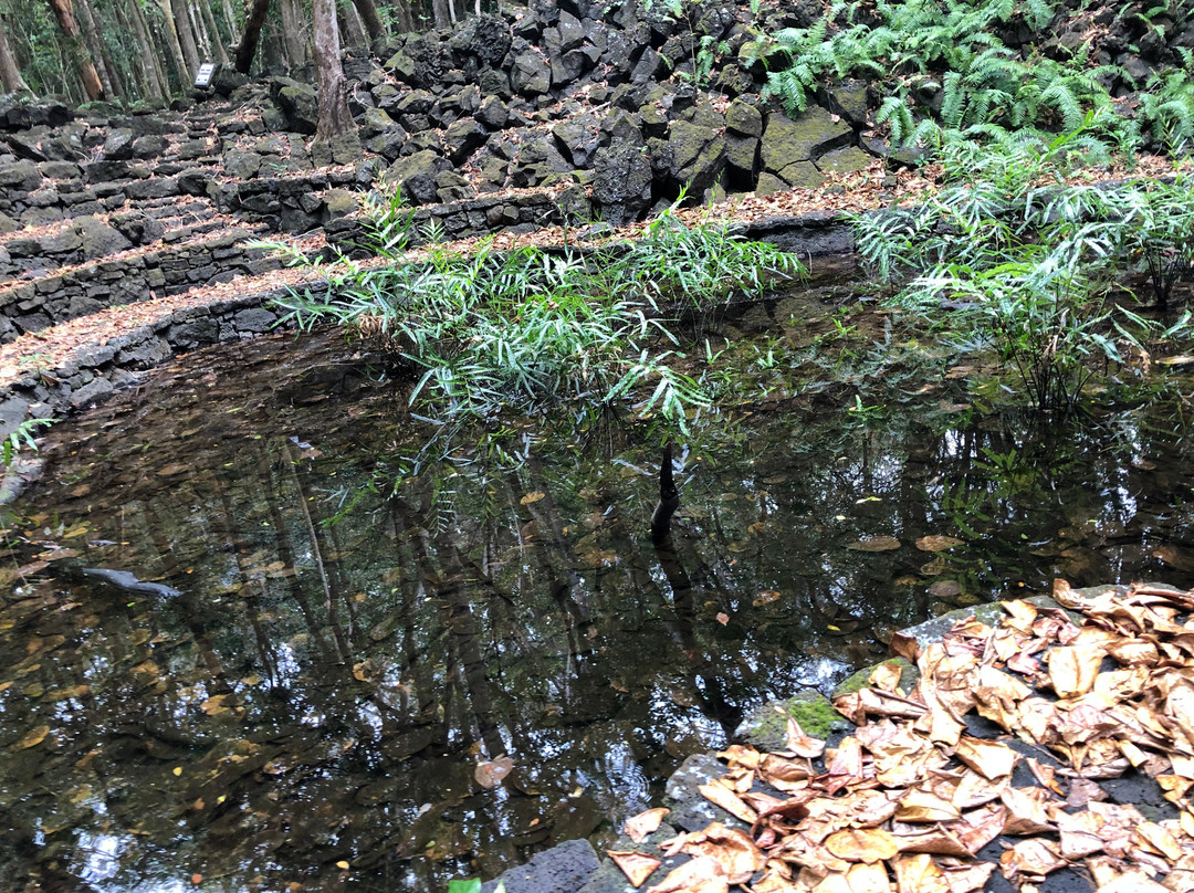 Bras d'Eau National Park-Poste Lafayette必去景点