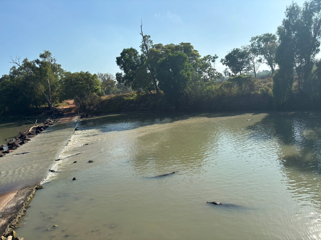 Territory Expeditions-达尔文市必去景点