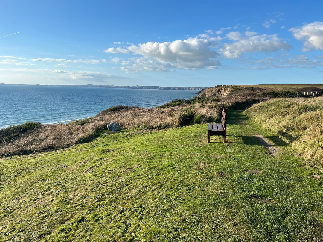 The Druidstone Hotel主图