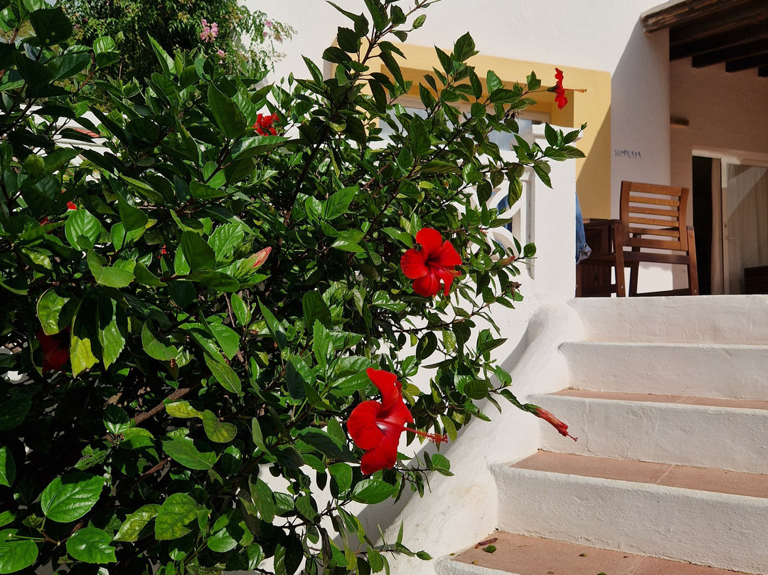 Hacienda Encanto Del Rio主图