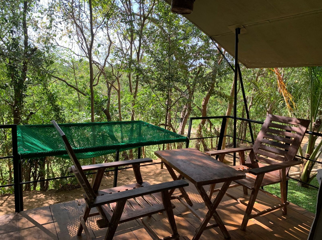 Ele Camp Udawalawa主图